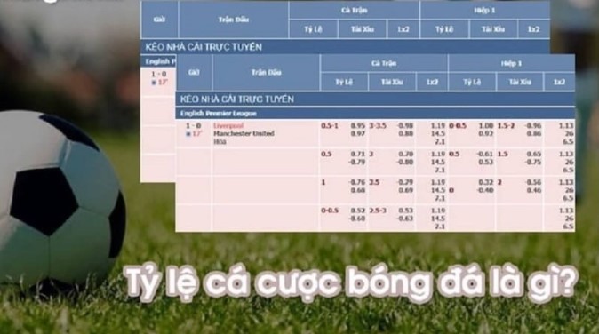 UNLOCKING THE SECRETS OF “TỶ LỆ CÁ CƯỢC” – A GUIDE FOR SMART BETTORS