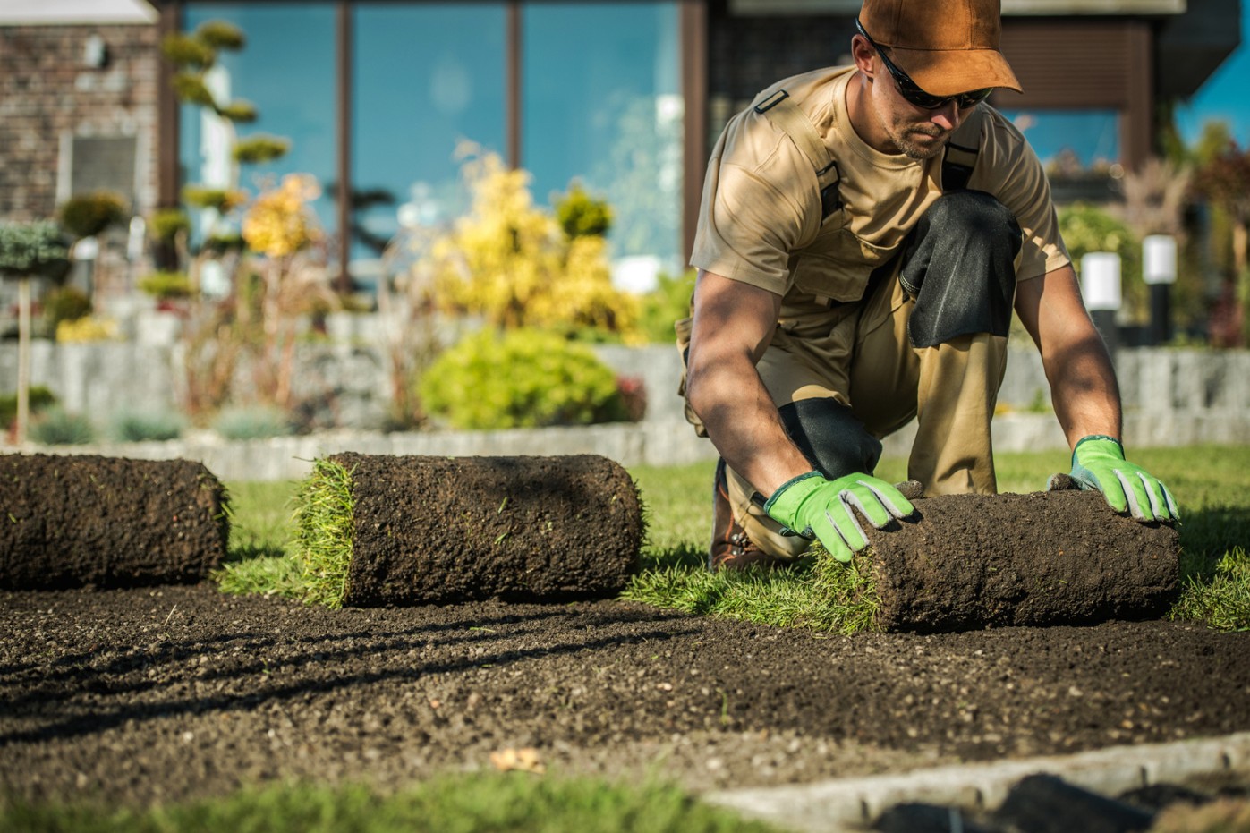 Xin88's Landscape Industry Careers Profile: Career Opportunities in the Landscape Industry